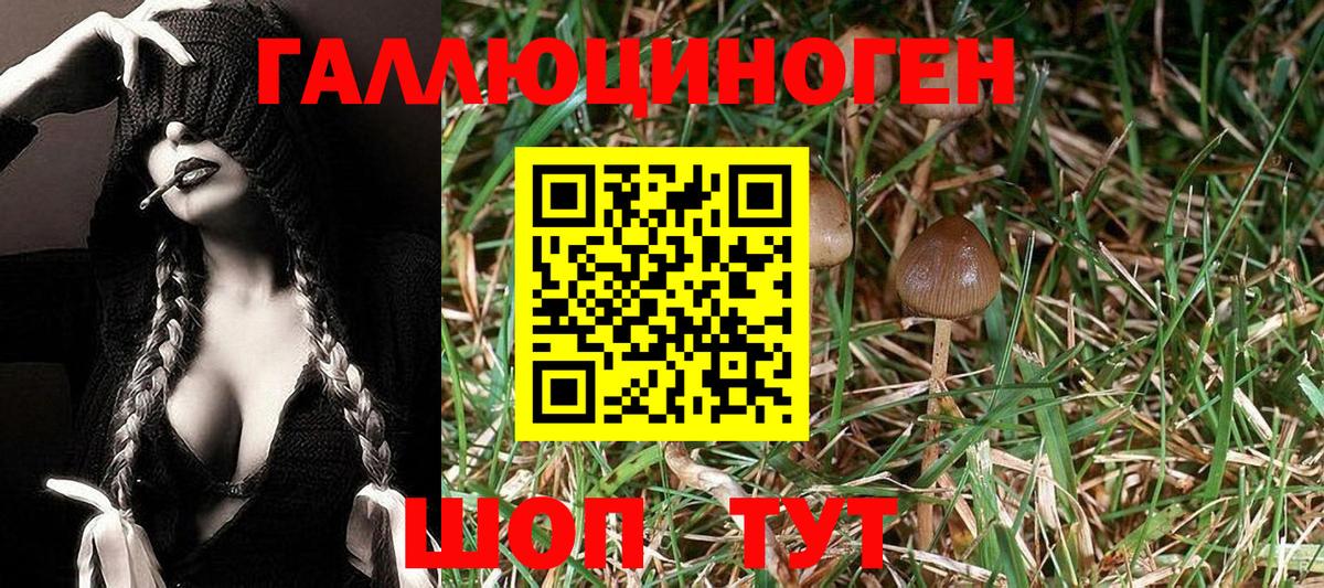 Галлюциногенные грибы мухоморы  Вход с VPN  Арзамас 